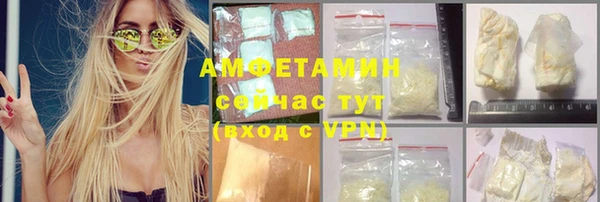 сатива Каменногорск