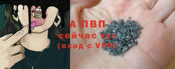 сатива Каменногорск