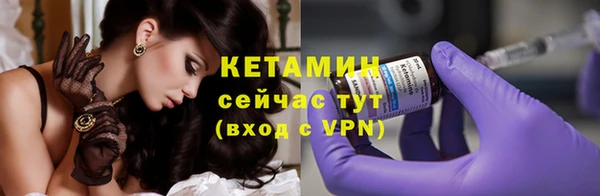 сатива Каменногорск