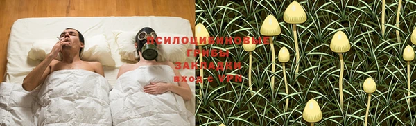 экстази Каменка