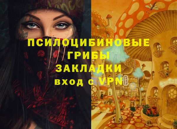 сатива Каменногорск