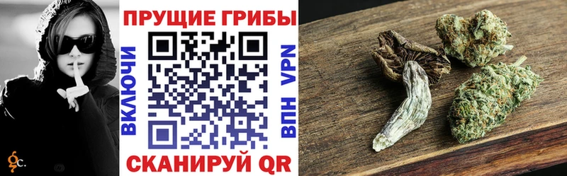 дарнет шоп  Таштагол  Псилоцибиновые грибы мухоморы 